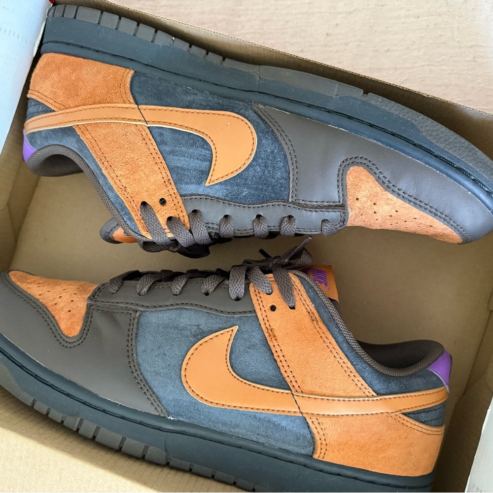 Nike Dunk low retro PRM